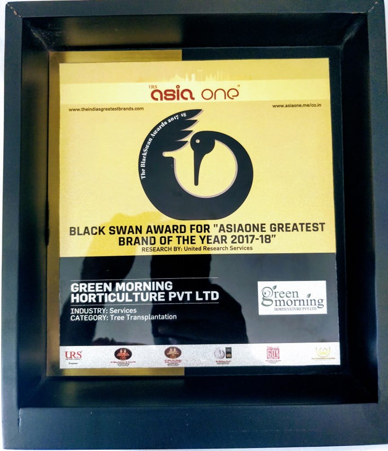 Best MSE Award 2017-18