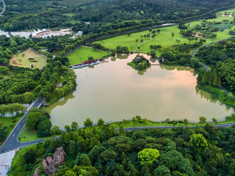 Miyawaki Forest Development